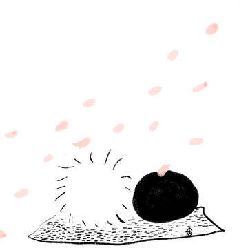 概念(夏と五)