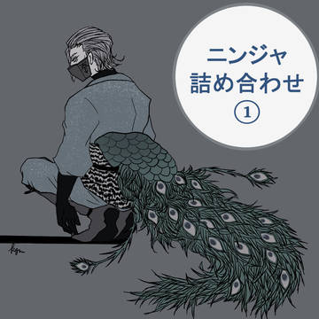 ニンジャ詰め合わせ①