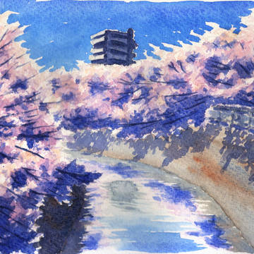 桜と川