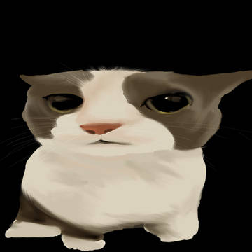ねこ