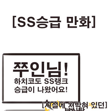SS승급 만화