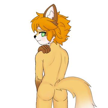 Sketch