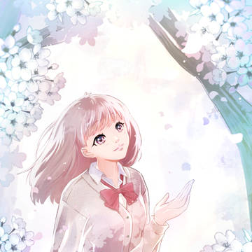 Cherry blossoms