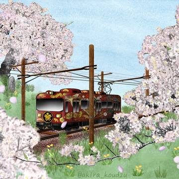 桜ヘッドマークの電車