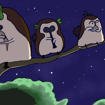 夜の演奏会