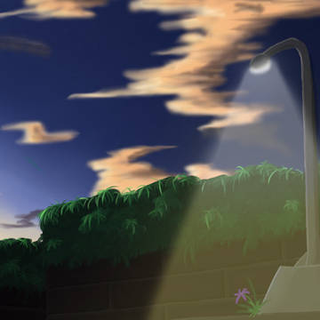 Street Light