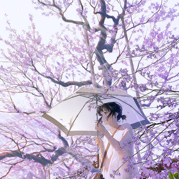 桜雨