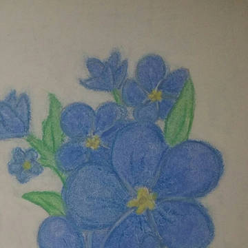 花 (flowers - forget me not)