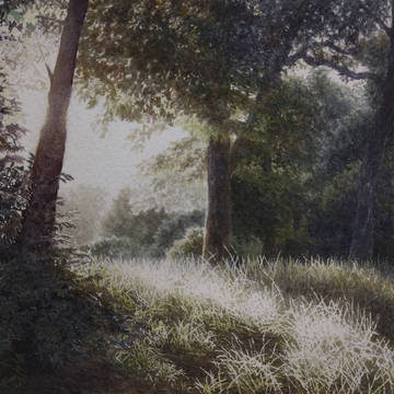 朝の光