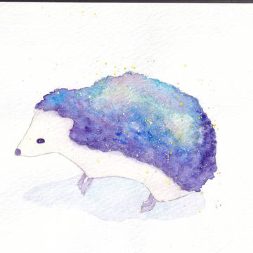 ハリネズミ