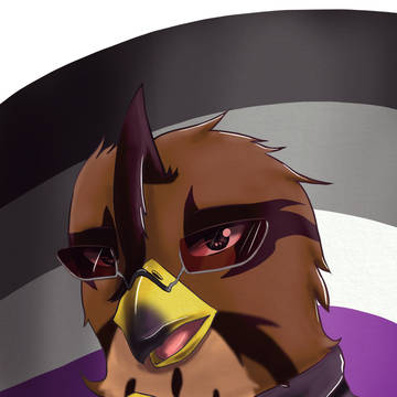 Ace OC