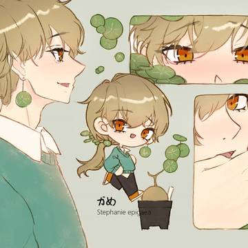 山烏龜