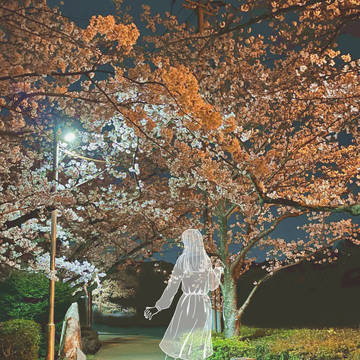 夜桜と君