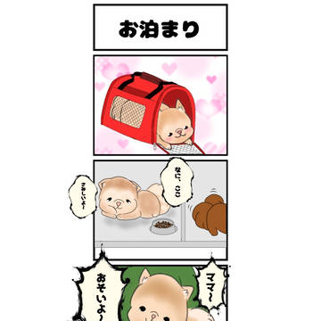 もしも我が家の犬シフォンが話せたら⑤