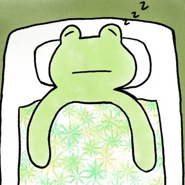 眠っているカエル