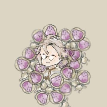 埋もれた華佗