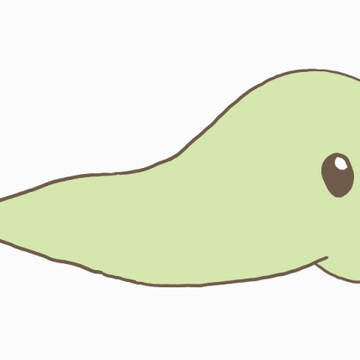 かっぱわに しっぽぴこぴこ