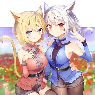 ミコッテ