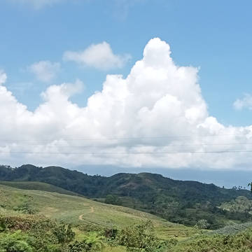 Countryside