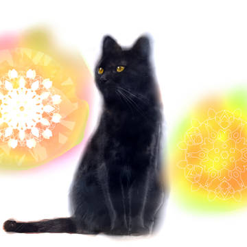 黒猫と曼荼羅アート