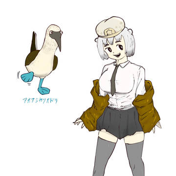 アオアシカツオドリの擬人化