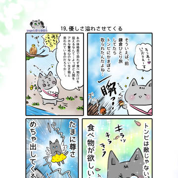 19.優しさ溢れさせてくる - YOGAと猫と音楽と