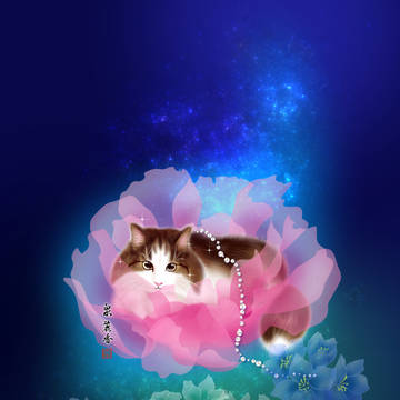美・猫・花002