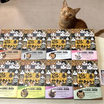 【保護猫チャリティー】猫ちゃん実録漫画アンソロジー