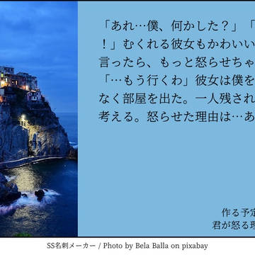 作る予定のない一節　ピオフィオーレの晩鐘
