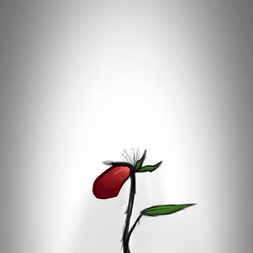 The Last Petal