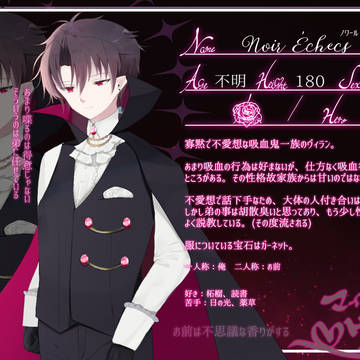 【フェアヴィラ】ノワール【ヴィラン】