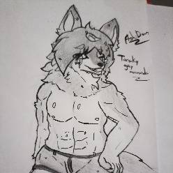 ⭐✨B I G B O Y ✨⭐