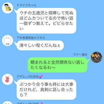 これだからシンヨコは