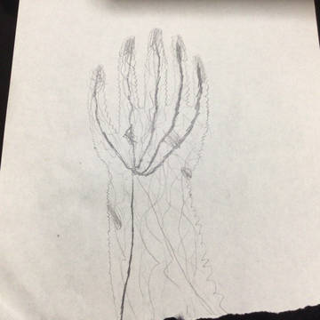 腕
