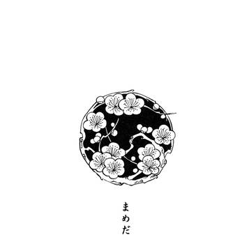 まめだ