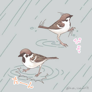 スズメ
