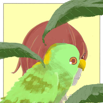 鳥・鳥・撮