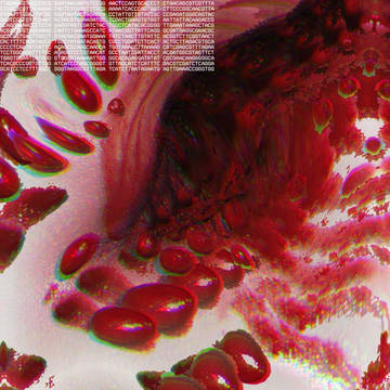 P3RF3CT_C0ND1T10N