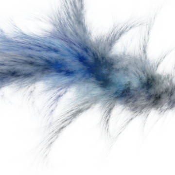 Feather