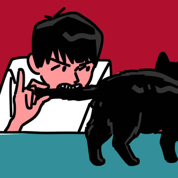 噛み癖猫とのたたかい