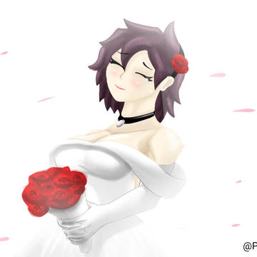 the dress of dreams