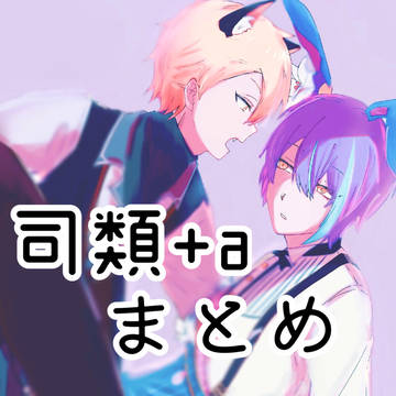 司類+aまとめ  2