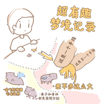 有趣的梦境分享