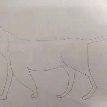 猫の全身絵