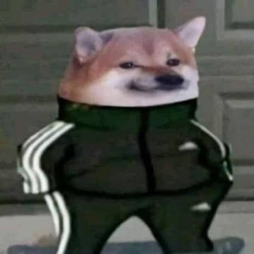 ???????????????DOG