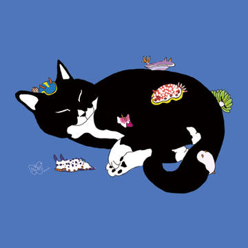 ウミウシネコ