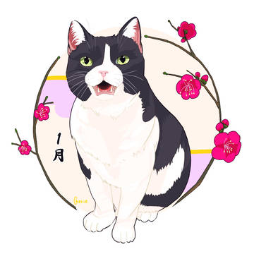愛猫1月2月6月