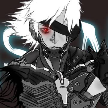 [Raiden Collection]