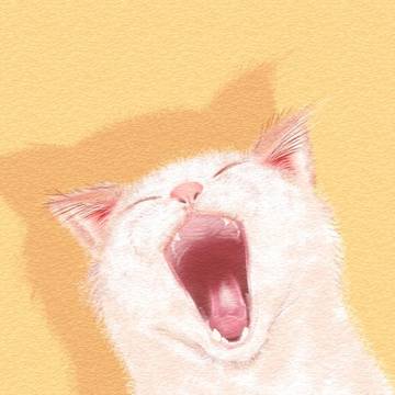 猫あくび