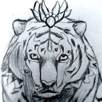 寅丸星